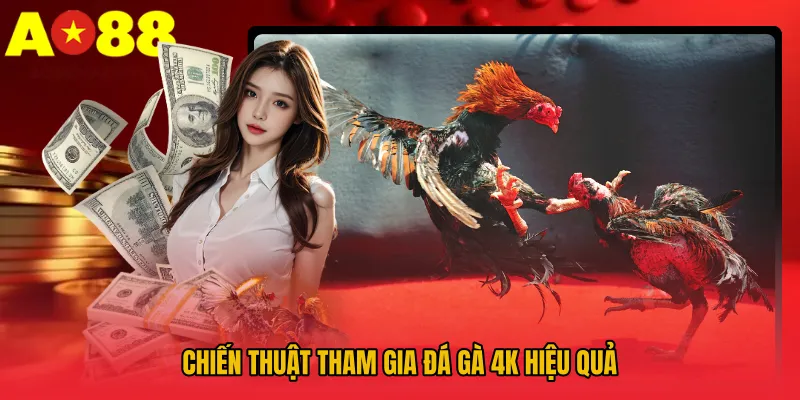 Đá Gà 4k – Hình Ảnh Sắc Nét, Kịch Tính Từng Khoảnh Khắc 4 Chiến thuật tham gia đá gà 4K hiệu quả