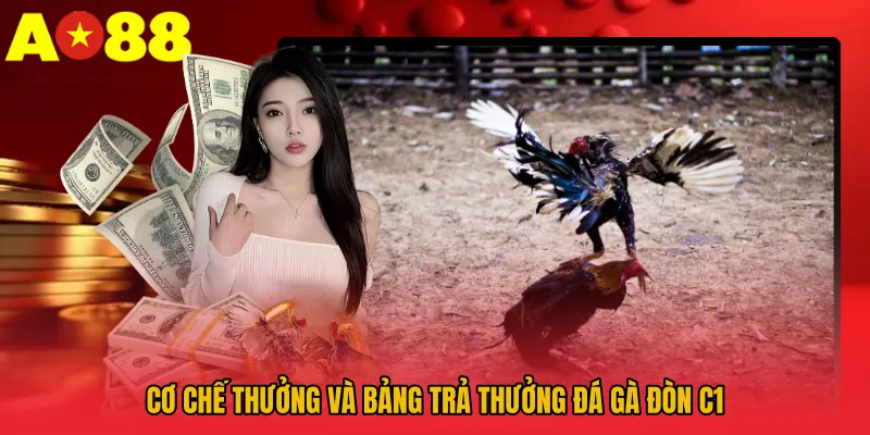 Đá Gà Đòn C1 AO88 – Trải Nghiệm Thực Chiến Sống Động 4 Cơ chế thưởng và bảng trả thưởng Đá gà đòn C1