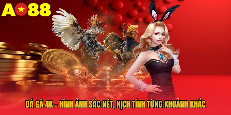 Đá Gà 4k – Hình Ảnh Sắc Nét, Kịch Tính Từng Khoảnh Khắc 1 Đá Gà 4k – Hình Ảnh Sắc Nét, Kịch Tính Từng Khoảnh Khắc