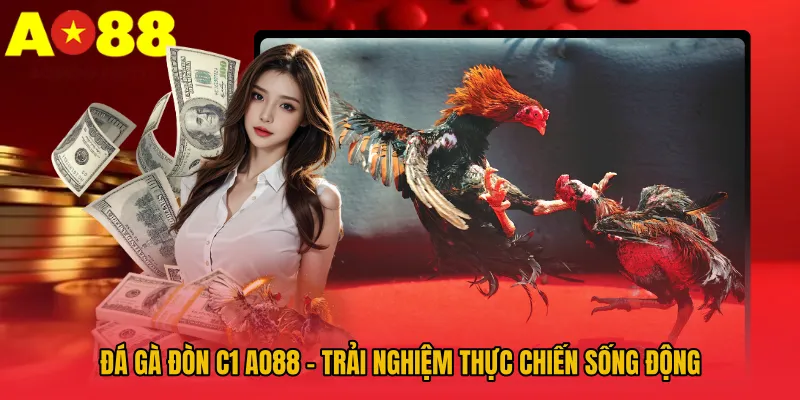 Đá Gà Đòn C1 AO88 – Trải Nghiệm Thực Chiến Sống Động 1 Đá Gà Đòn C1 AO88 – Trải Nghiệm Thực Chiến Sống Động