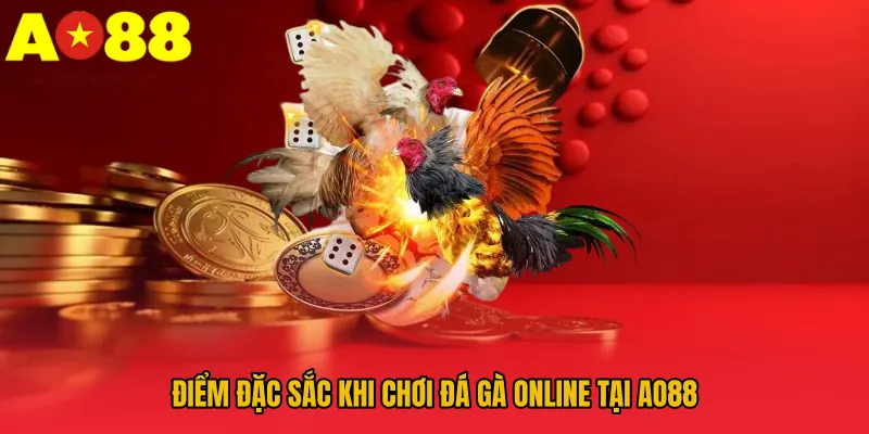 Đá Gà AO88 – Đấu Trường Đỉnh Cao Của Các Chiến Kê Dũng Mãnh 1 Điểm đặc sắc khi chơi đá gà online tại AO88