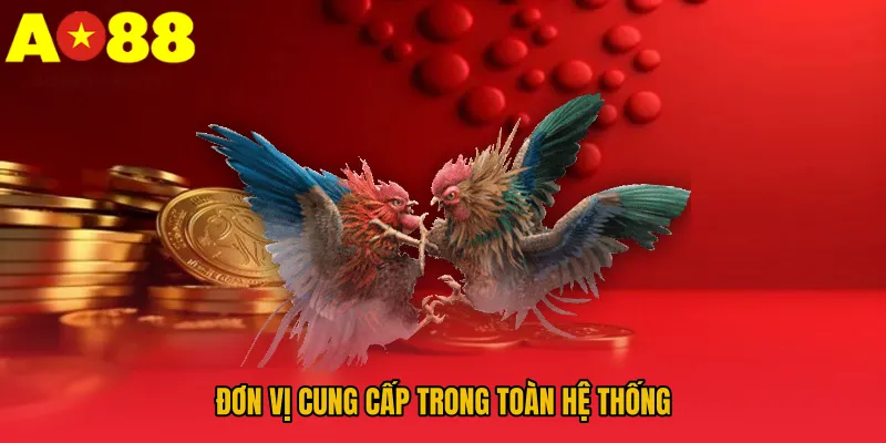 Đá Gà AO88 – Đấu Trường Đỉnh Cao Của Các Chiến Kê Dũng Mãnh 3 Đơn vị cung cấp trong toàn hệ thống