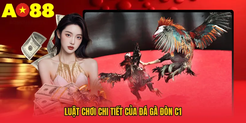 Đá Gà Đòn C1 AO88 – Trải Nghiệm Thực Chiến Sống Động 3 Luật chơi chi tiết của Đá gà đòn C1